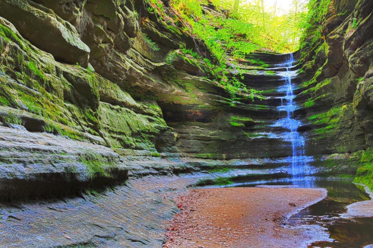 Starved Rock & Ottawa Retreat Amazing Getaway Home ภายนอก รูปภาพ